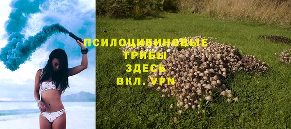 прущие крисы Михайлов