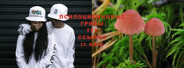 экстази Михайловка